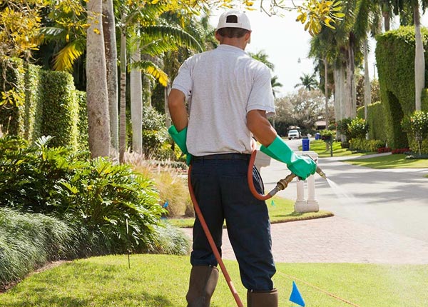 About Raymond KS Pest Control